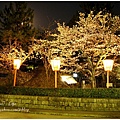 【2012關西甜滋滋蜜月旅行】- 圓山公園賞夜櫻 (5).JPG