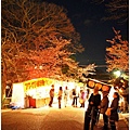 【2012關西甜滋滋蜜月旅行】- 圓山公園賞夜櫻 (10).JPG