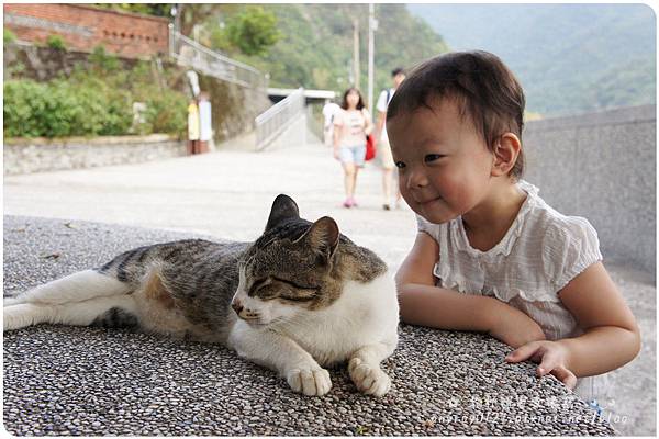 台北-猴硐貓村 (8).JPG