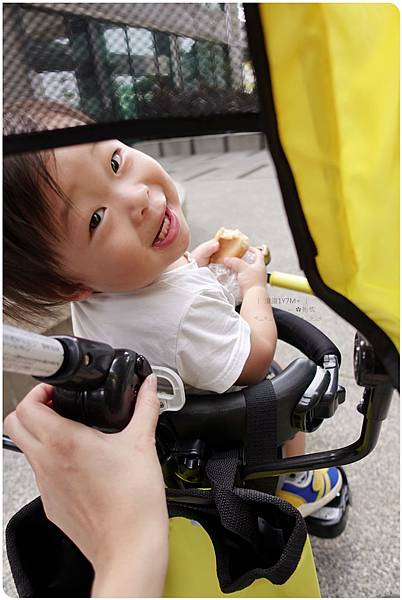 澄澄1Y7M+ (6).JPG 澄澄1Y7M+ (6).JPG