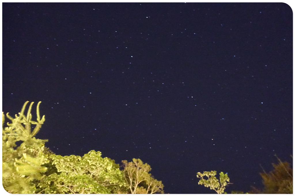 20210514第五露-南投沐晨 (49).jpg 20210514第五露-南投沐晨 (49).jpg