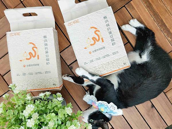 🐈〔寵物×用品〕O-care極消臭抗菌豆腐砂｜首創牡蠣殼豆腐