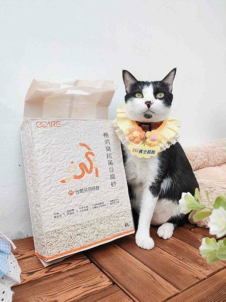 🐈〔寵物×用品〕O-care極消臭抗菌豆腐砂｜首創牡蠣殼豆腐