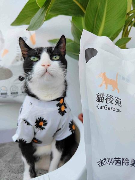 🐈〔寵物×用品〕貓後苑-除臭礦砂3.0｜真正99.9%無塵落