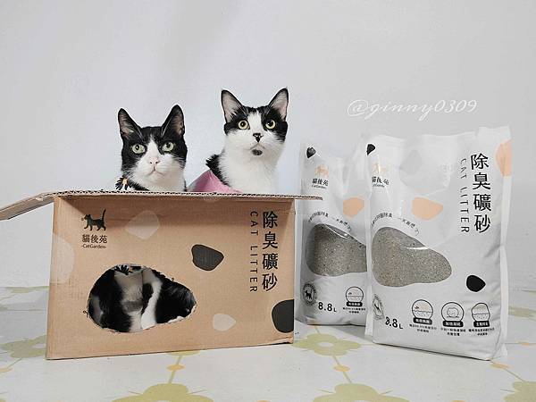 🐈〔寵物×用品〕貓後苑-除臭礦砂3.0｜真正99.9%無塵落