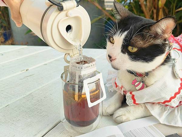 Fujitek 富士電通 行動快煮杯｜旅拍、露營、外出走跳必