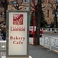 紫色的Lawson