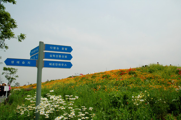 剛好遇上花祭開幕