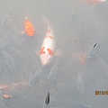 IMG_0473 IMG_0473