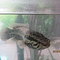 IMG_0475 IMG_0475