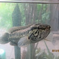 IMG_0476 IMG_0476