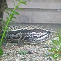 IMG_0477 IMG_0477