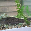 IMG_0478 IMG_0478