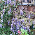 IMG_0482 IMG_0482