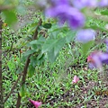 IMG_0483 IMG_0483
