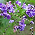IMG_0484 IMG_0484