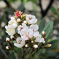 IMG_0485 IMG_0485