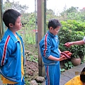 IMG_0488 IMG_0488