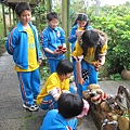 IMG_0489 IMG_0489