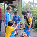 IMG_0490 IMG_0490