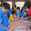 IMG_0495 IMG_0495
