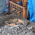 IMG_0501 IMG_0501