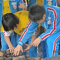 IMG_0507 IMG_0507