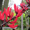 IMG_0508 IMG_0508