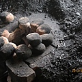 IMG_0524 IMG_0524