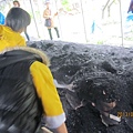 IMG_0526 IMG_0526
