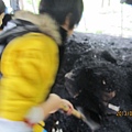 IMG_0527 IMG_0527