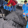 IMG_0528 IMG_0528