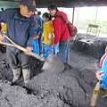 IMG_0529 IMG_0529