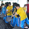 IMG_0534 IMG_0534