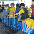 IMG_0535 IMG_0535