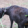 IMG_0537 IMG_0537