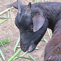IMG_0538 IMG_0538