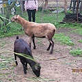 IMG_0540 IMG_0540
