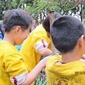 IMG_0541 IMG_0541