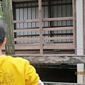 IMG_0542 IMG_0542