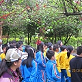 IMG_0544 IMG_0544