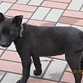 IMG_0558 IMG_0558