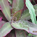 IMG_0559 IMG_0559