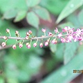IMG_0560 IMG_0560