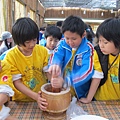 IMG_0568 IMG_0568