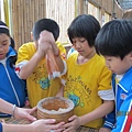 IMG_0571 IMG_0571