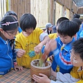 IMG_0576 IMG_0576