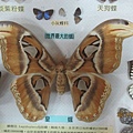 IMG_0587 IMG_0587