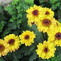 IMG_0602 IMG_0602