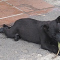 IMG_0605 IMG_0605